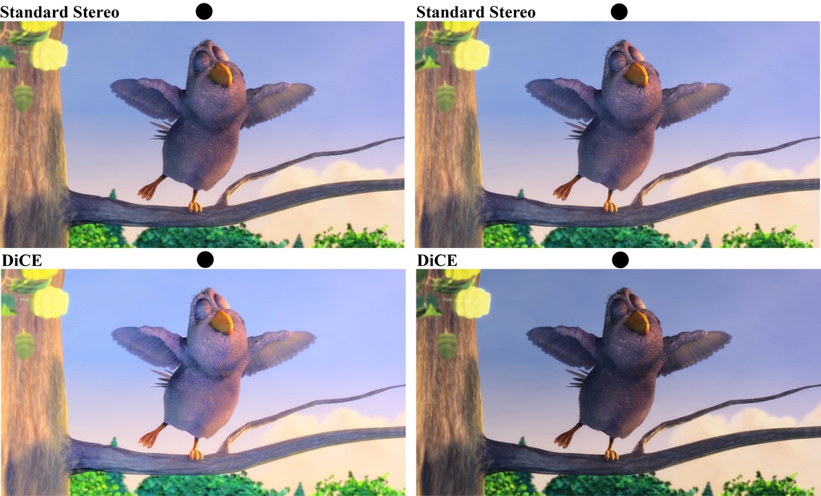 ZKDBCDM19